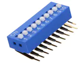 DSK-10